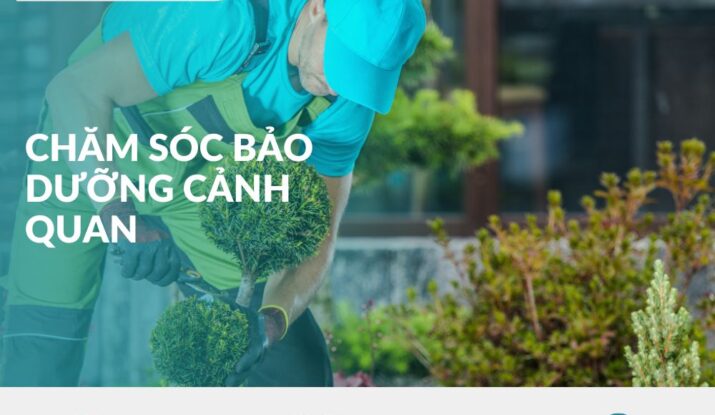 chăm sóc bảo dưỡng cảnh quan